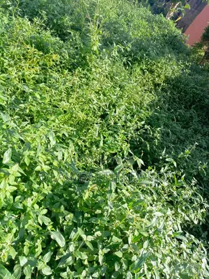 7,700sqm Hotel Land for Sale, Mabushi