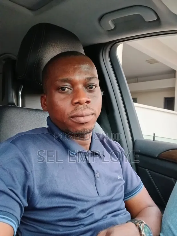 Professional Chauffeur - Experienced Driver - 1