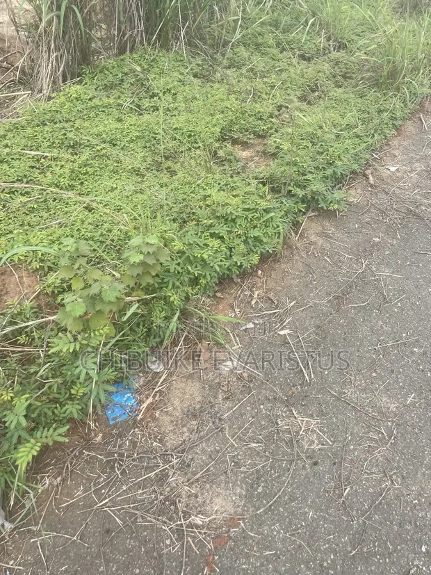 Residential Land for Sale in Awka, Anambra State - 1