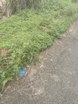 Residential Land for Sale in Awka, Anambra State - 1