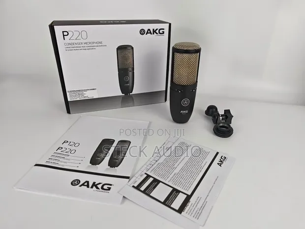 AKG P220 Condenser Microphone - 1