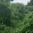 Residential Land for Sale in Akure - 2