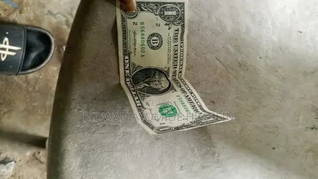 Dalar Amurka $1 na Hukumar Bada Lamuni - Kuskuren Matsi na ɓangare na uku - 1