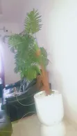 Home Interiors Large Flowerpot - White - 2