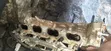 Top Cylinder na Toyota Tundra 4.7L V8 (2010) - 4