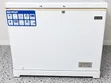 Skyrun 260L Freezer BD-260A - Used, Needs Repair - 1
