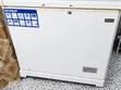 Skyrun 260L Freezer BD-260A - Used, Needs Repair - 2