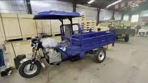 Brand New 2025 Heavy-Duty Cargo Tricycle