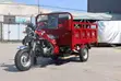 Brand New 2025 Heavy-Duty Cargo Tricycle - 5