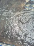 Ezeudo Fish Farm - Tilapia - 1