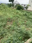 Filin Zama don Siyarwa a Asaba - 1