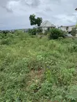 Filin Zama don Siyarwa a Asaba - 3