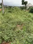 Filin Zama don Siyarwa a Asaba - 4