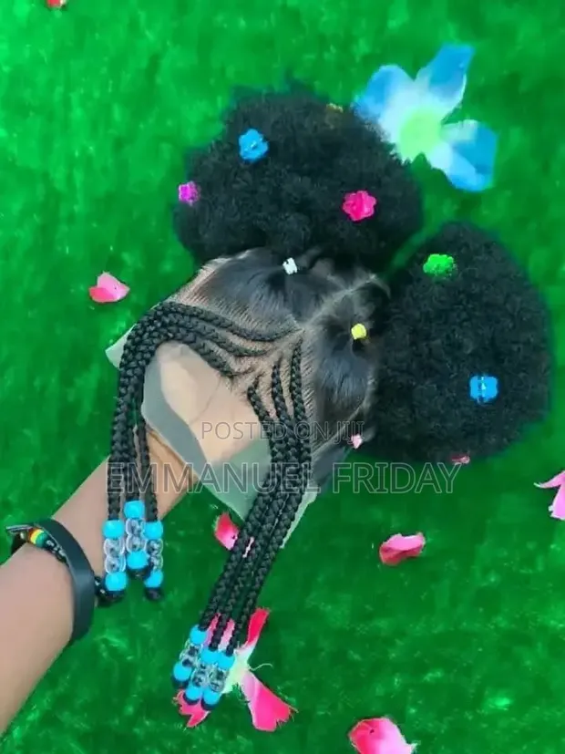 Braided Wig - 1