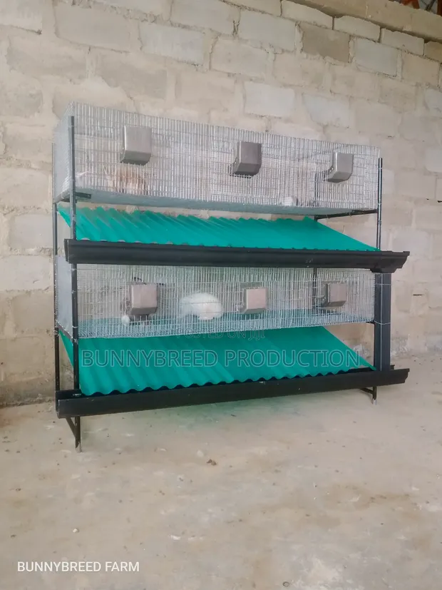 Commercial 6-Room Automatic Rabbit Cage System - 1