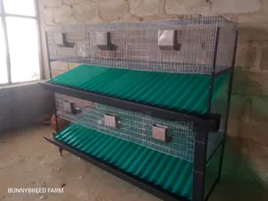 Commercial 6-Room Automatic Rabbit Cage System