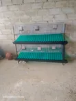 Commercial 6-Room Automatic Rabbit Cage System - 3