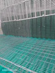 Commercial 6-Room Automatic Rabbit Cage System - 5