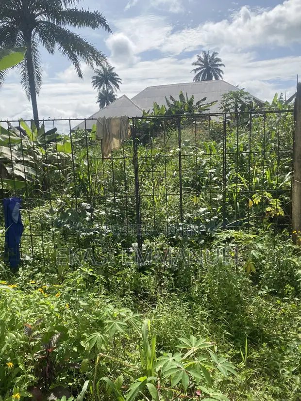 600sqm Residential Land for Sale, Ifa, Uyo - 1