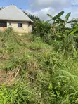 600sqm Residential Land for Sale, Ifa, Uyo - 3