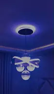 Used Chandelier - 2