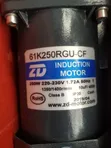 ZD Motor 250W Induction Gear Motor - 2
