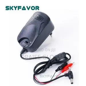 Multifunctional Battery Charger 6V/9V/12V 2A