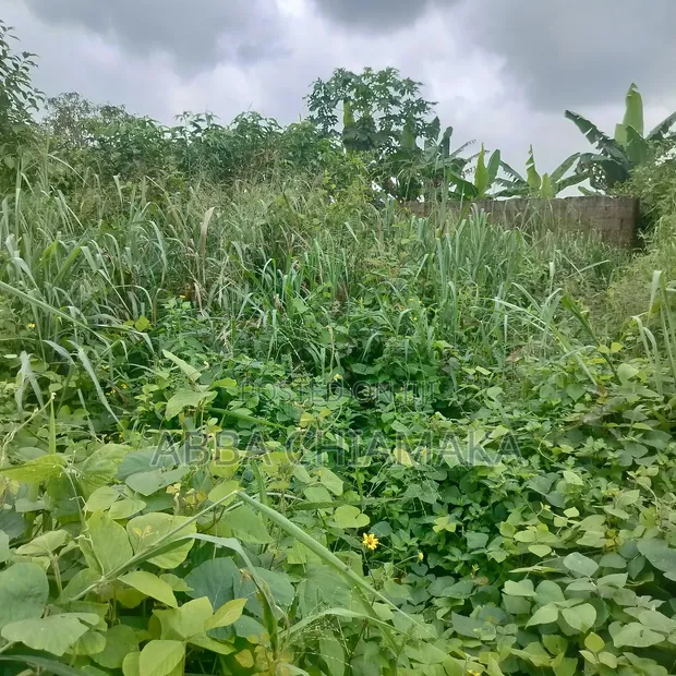 Residential Plot for Sale - 465sqm, Ikwerre - 1