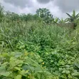 Residential Plot for Sale - 465sqm, Ikwerre - 1