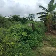 Residential Plot for Sale - 465sqm, Ikwerre - 2
