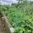Residential Plot for Sale - 465sqm, Ikwerre - 3