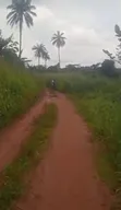 12 Acres na Ƙasa Off Sagamu-Abeokuta Exp, Obafemi-Owode - 1