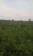 12 Acres na Ƙasa Off Sagamu-Abeokuta Exp, Obafemi-Owode - 2