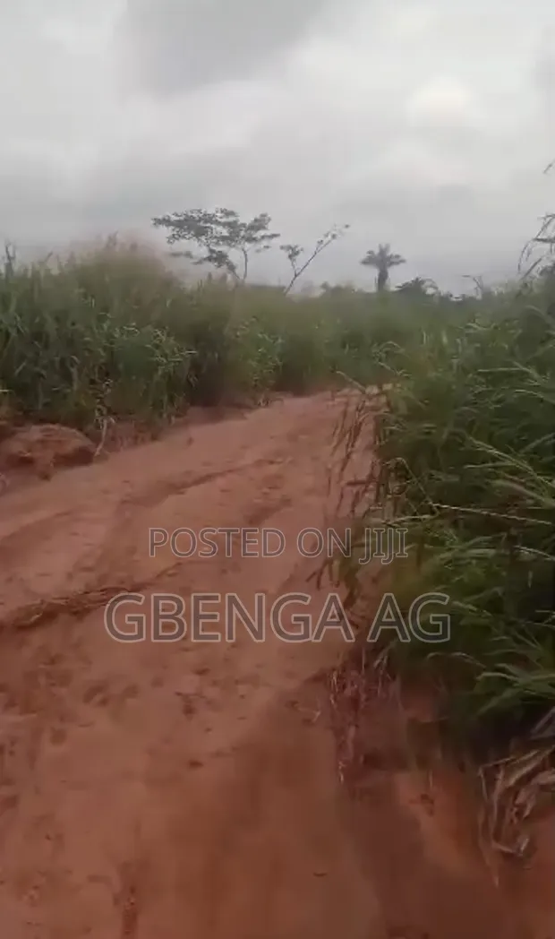130 Acres Filin Dadi Kafin International Brew, Sagamu-Abeokuta Exp - 1