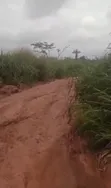 130 Acres Filin Dadi Kafin International Brew, Sagamu-Abeokuta Exp - 1