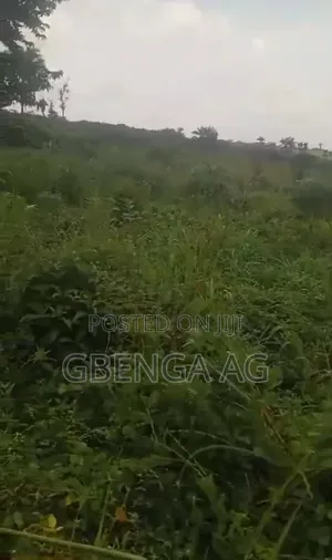 130 Acres Filin Dadi Kafin International Brew, Sagamu-Abeokuta Exp