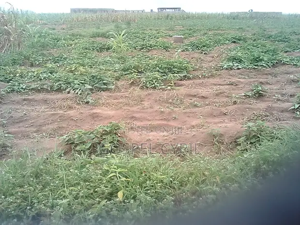 Sallama: Filin Zama a Gundumar Guzape - 1