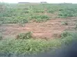 Sallama: Filin Zama a Gundumar Guzape - 1