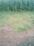 Sallama: Filin Zama a Gundumar Guzape - 2