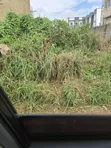 4125 SQM Filin Amfani Daban-daban da C of O, Wuye Jabi - 1