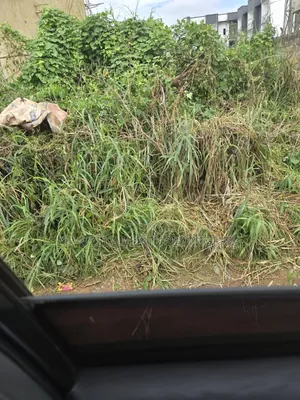 4125 SQM Filin Amfani Daban-daban da C of O, Wuye Jabi