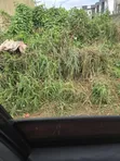 4125 SQM Filin Amfani Daban-daban da C of O, Wuye Jabi - 2