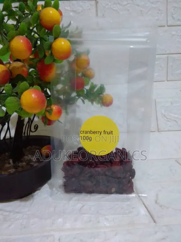 Cranberry Gummy Fruit 100g Pack - 1