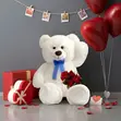Large White Teddy Bear Toy for Girlfriend & Kids - 2