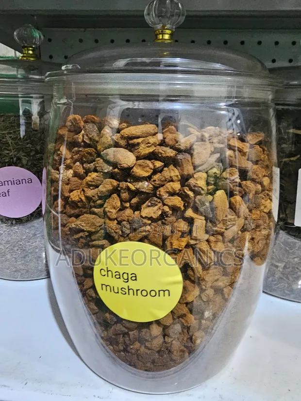 Chaga Mushroom Whole Cut 100g Pack - 1