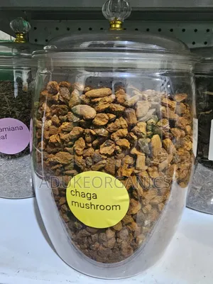 Chaga Mushroom Cikakken Yanke 100g Pack