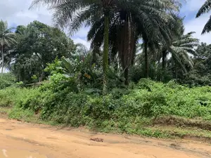 Undeveloped Mixed-Use Land for Sale, Uyo