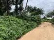 Undeveloped Mixed-Use Land for Sale, Uyo - 2