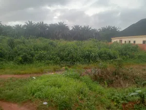 Rabin Kasuwa: 100x100sqm Ƙasa a Iguadolor, Benin City