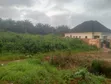 Distress Sale: 100x100sqm Land in Iguadolor, Benin City - 2